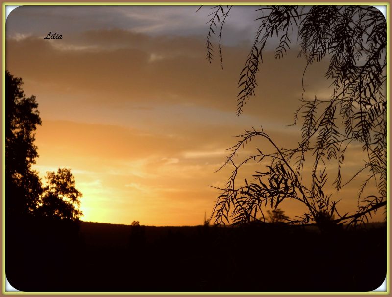 puesta de sol en huerta gde.jpg